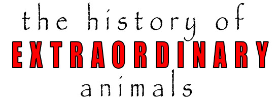 The History of Extraordinary Animals